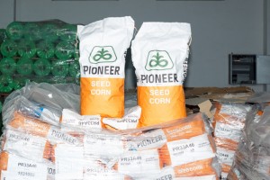 pioneer-seed-corn-pcenka-Bispromet-Bitola